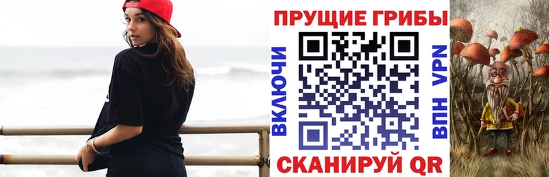 Псилоцибиновые грибы Psilocybine cubensis  купить наркотик  Сортавала 
